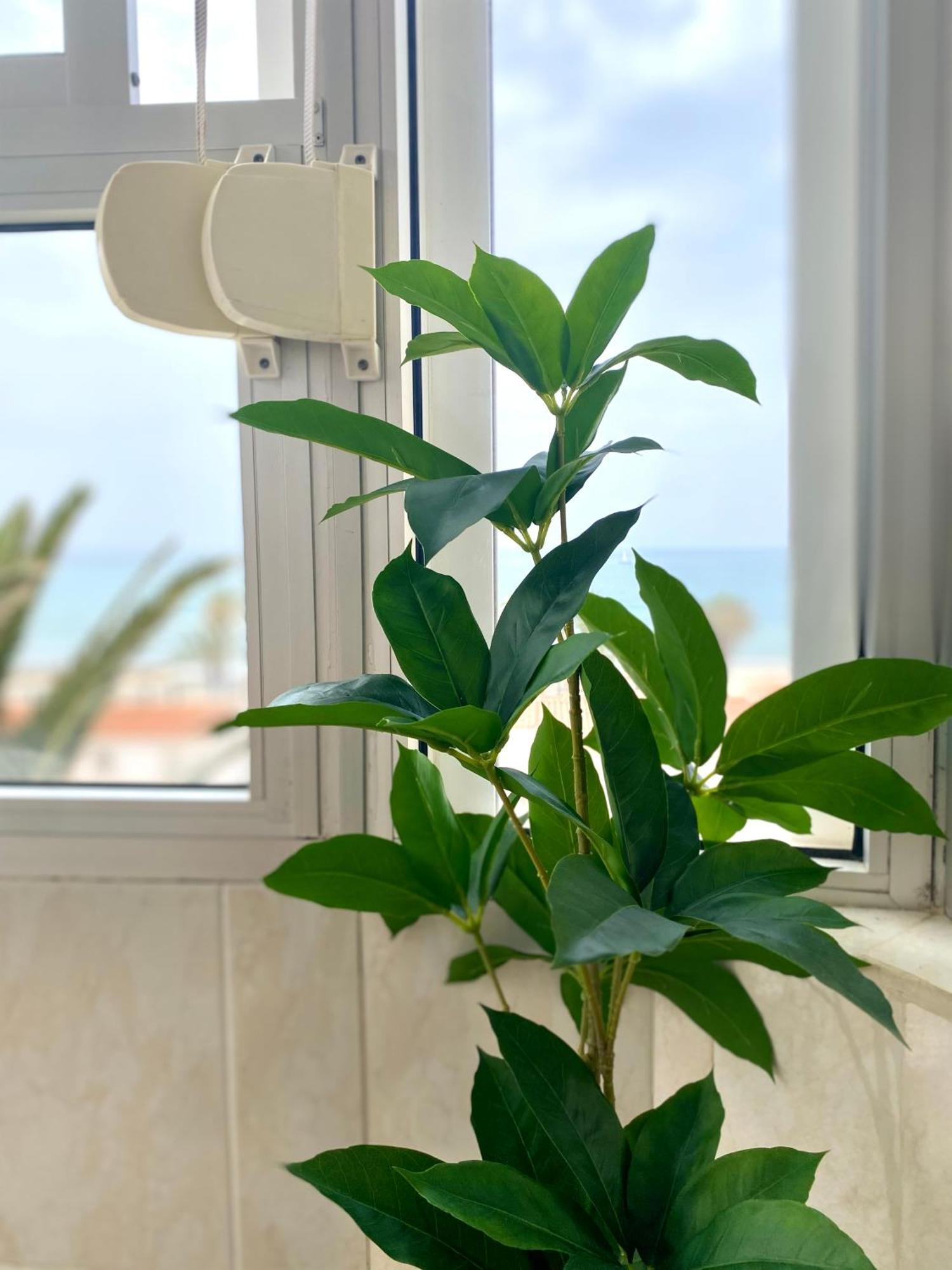 Apartamento Luz Del Mar Торокс Екстериор снимка